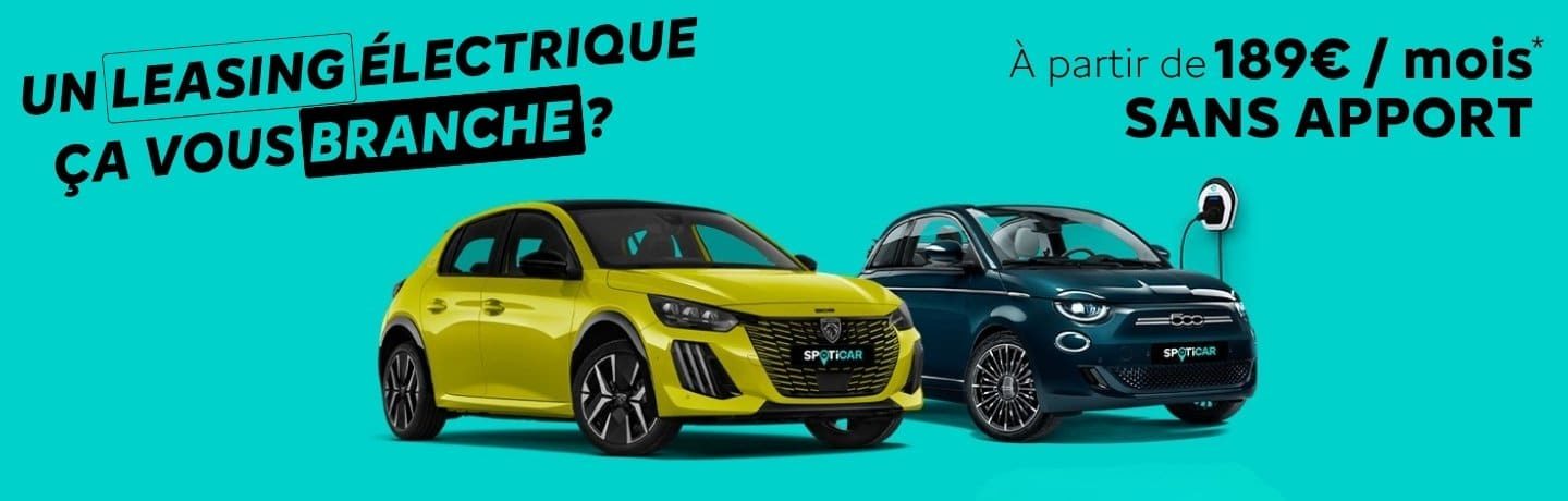 leasing social electrique voiture occasion citroen valence